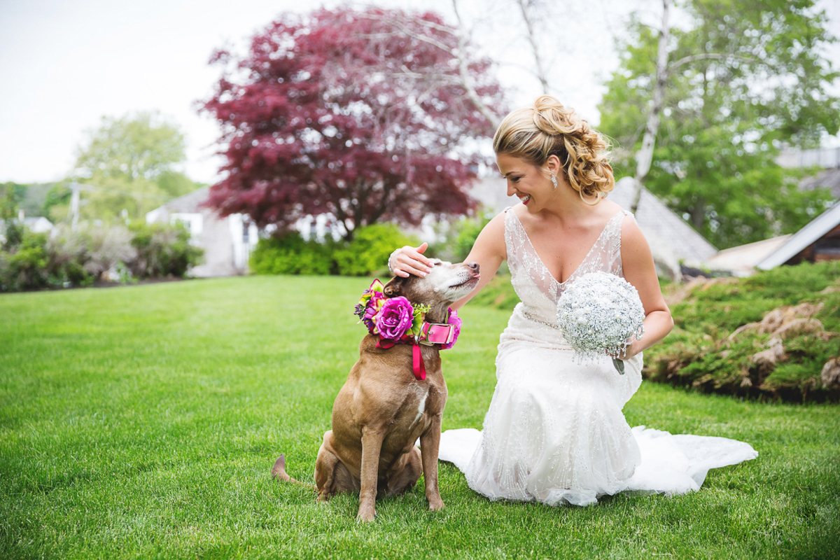 Signature Wedding Portfolio wedding photo 105 by Michelle Carpenter for Main Event Weddings