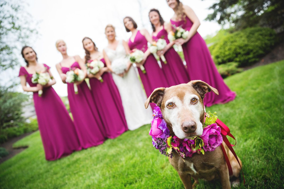 Signature Wedding Portfolio wedding photo 132 by Michelle Carpenter for Main Event Weddings